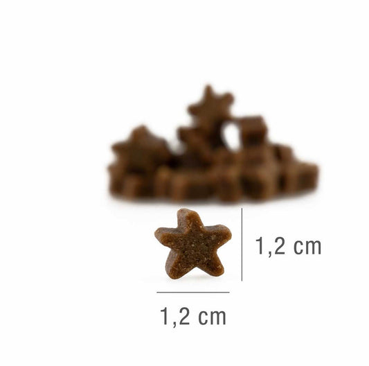 PLATINUM Stars Salmon - μέγεθος 1,2cm