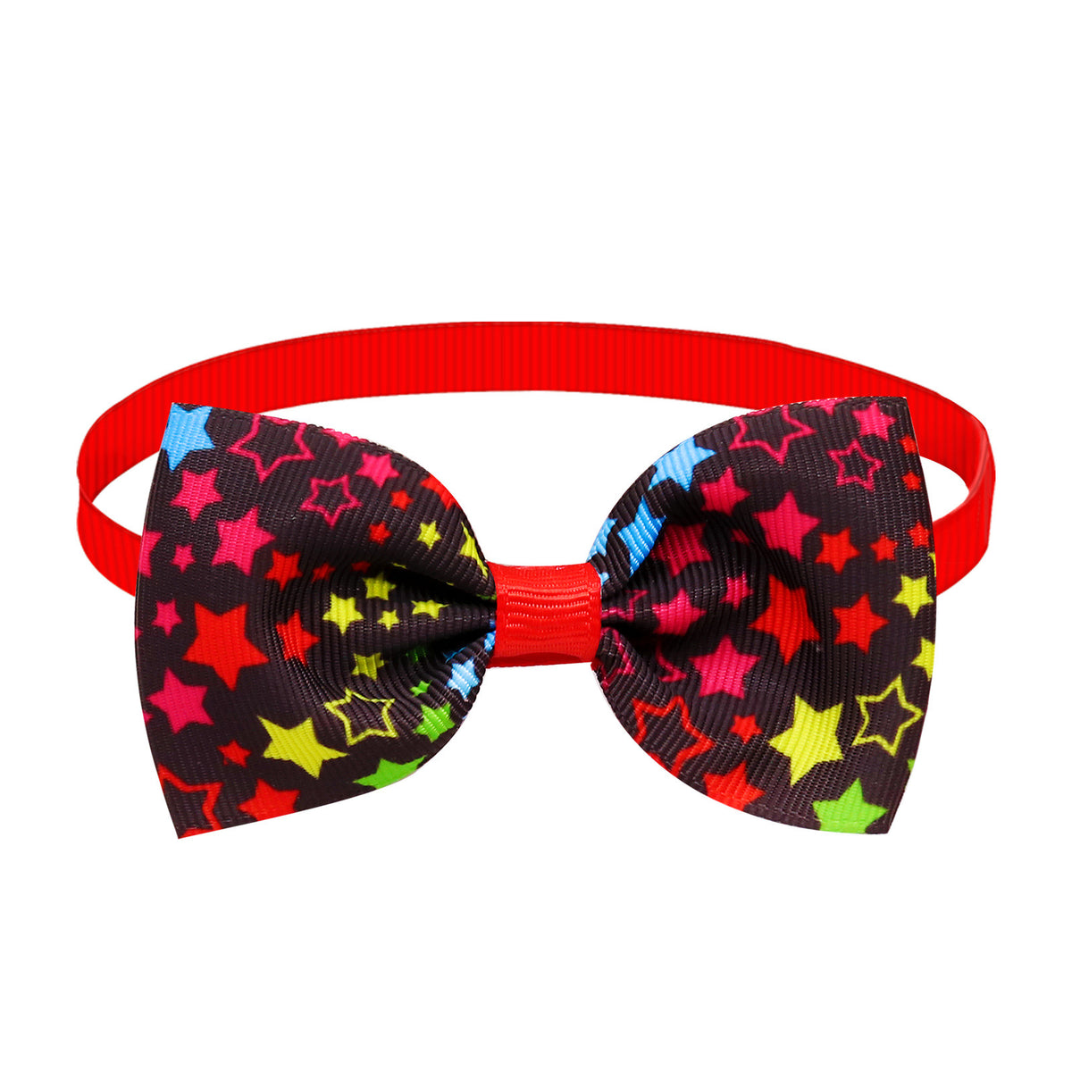 Φιόγκος Λουρί για Κατοικίδια – Floral Collection