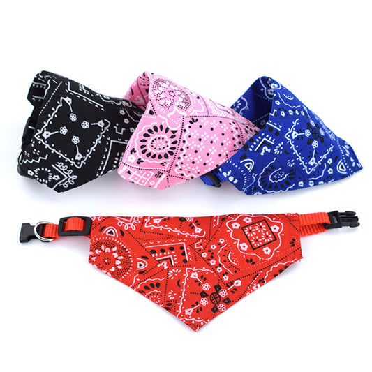 Παντάνα Λουρί για Κατοικίδια – Paisley Collection