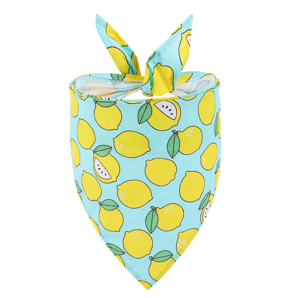 Μπαντάνα Λουρί Κατοικιδίου – Fun Prints Collection