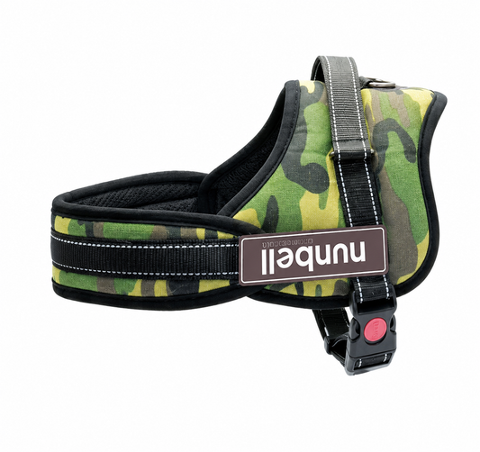 Nunbell Professional Επιστήθιο Σκύλου με χειρολαβή